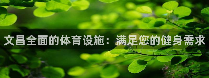 意昂3集团官网网址：文昌全面的体育设施：满足您的健身