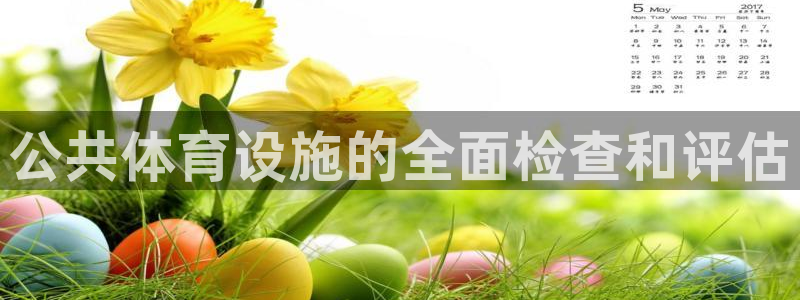 意昂3新能源：公共体育设施的全面检查和评估