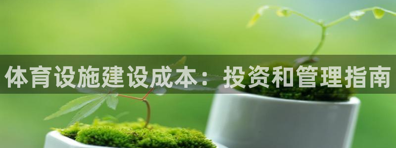 意昂体育3招商电话是多少啊：体育设施建设成本：投资和