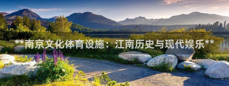 意昂3科技：**南京文化体育设施：江南历史与现代娱乐