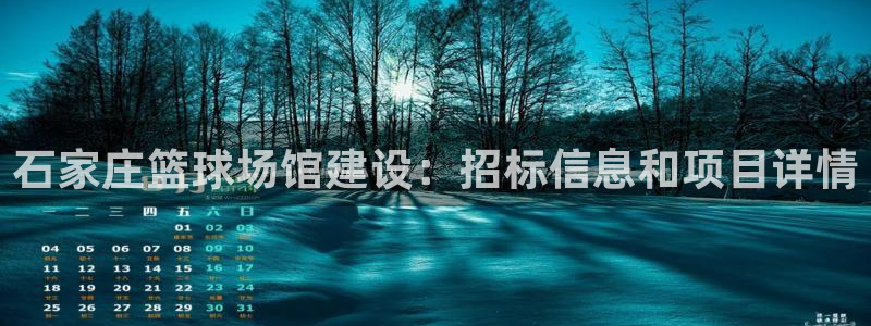 意昂体育3：石家庄篮球场馆建设：招标信息和项目详情