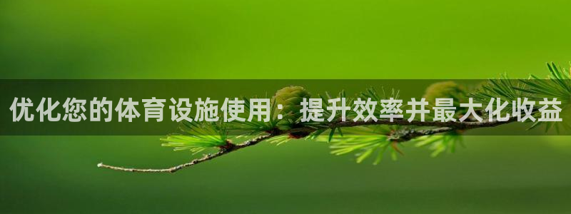 海南意昂体育3：优化您的体育设施使用：提升效率并最大