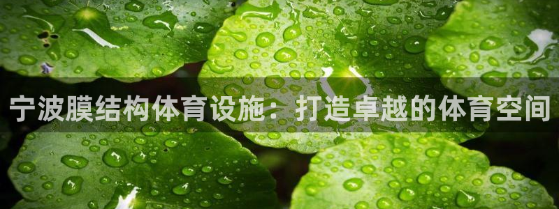 意昂体育3招商电话地址是多少：宁波膜结构体育设施：打