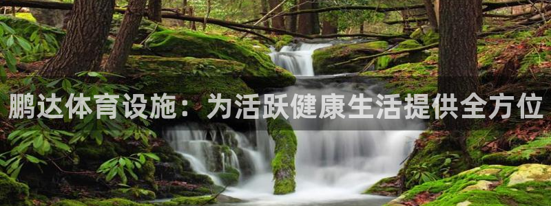 意昂3娱乐网站：鹏达体育设施：为活跃健康生活提供全方