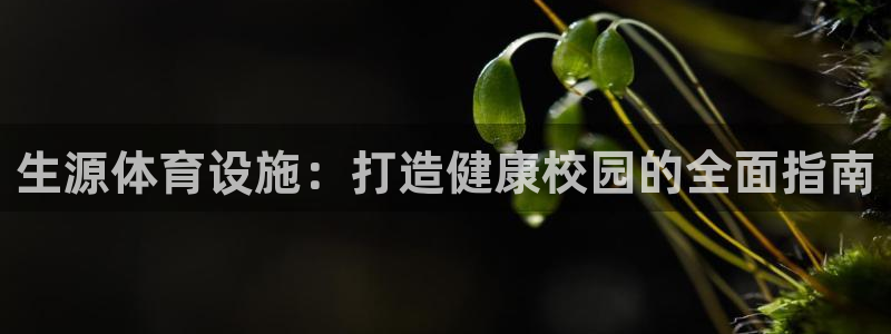 意昂体育3平台是正规平台吗安全吗：生源体育设施：打造