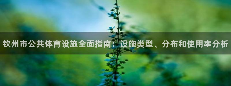 意昂3代理：钦州市公共体育设施全面指南：设施类型、分