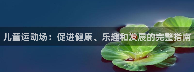 意昂3娱乐代理怎么样：儿童运动场：促进健康、乐趣和发