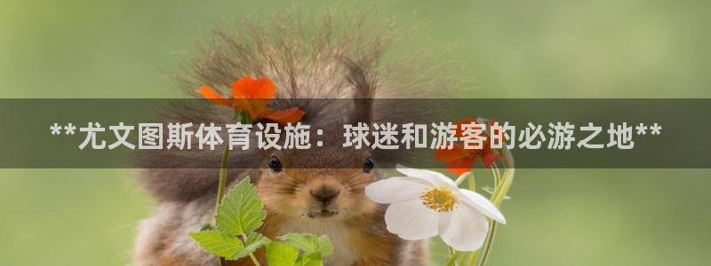 意昂体育3招商电话是多少啊：**尤文图斯体育设施：球
