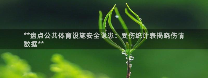 意昂3代理：**盘点公共体育设施安全隐患：受伤统计表