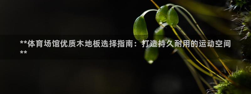 意昂3代理：**体育场馆优质木地板选择指南：打造持久