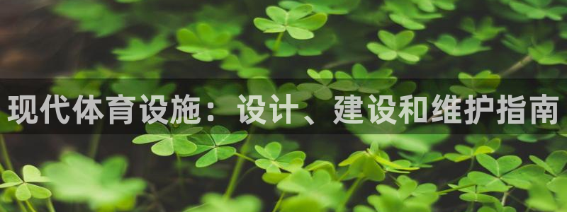 意昂3五金厂：现代体育设施：设计、建设和维护指南