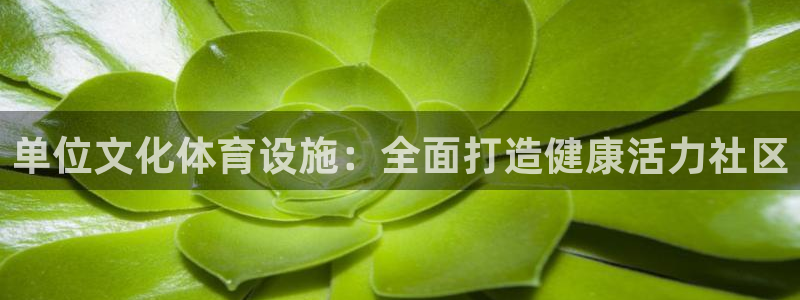 意昂3集团：单位文化体育设施：全面打造健康活力社区