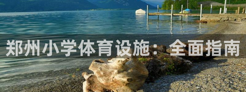意昂体育3：郑州小学体育设施：全面指南