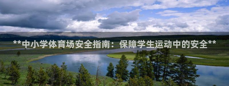 意昂3集团E.ON：**中小学体育场安全指南：保障学