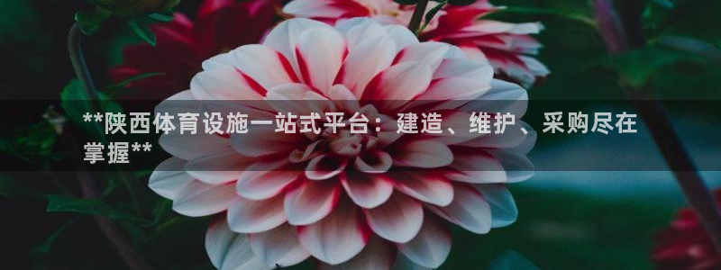 意昂体育3招商电话是多少：**陕西体育设施一站式平台