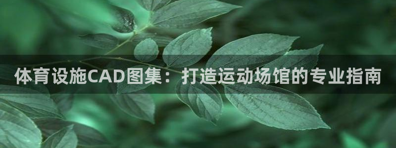 意昂体育3软件：体育设施CAD图集：打造运动场馆的专