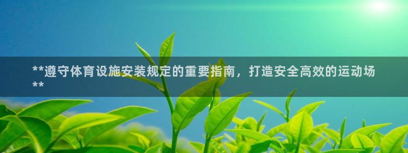 意昂体育3：**遵守体育设施安装规定的重要指南，打造