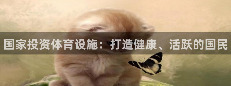 意昂体育3平台注册要钱吗安全吗：国家投资体育设施：打