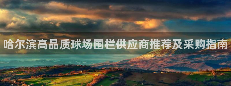 意昂体育3平台注册要钱吗安全吗：哈尔滨高品质球场围栏