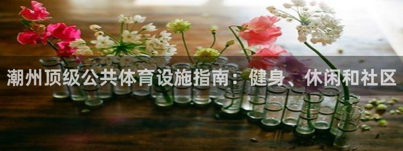 意昂体育3平台假的吗是真的吗吗：潮州顶级公共体育设施