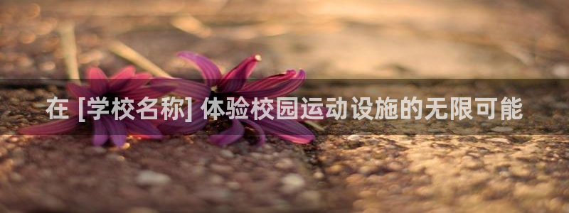 意昂平台体育：在 [学校名称] 体验校园运动设施的无