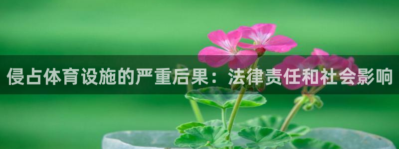 意昂体育3招商电话号码是多少啊：侵占体育设施的严重后