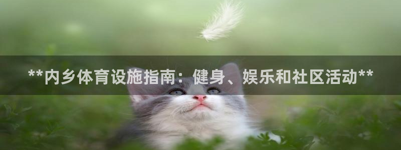 意昂体育3平台是正规平台吗知乎：**内乡体育设施指南