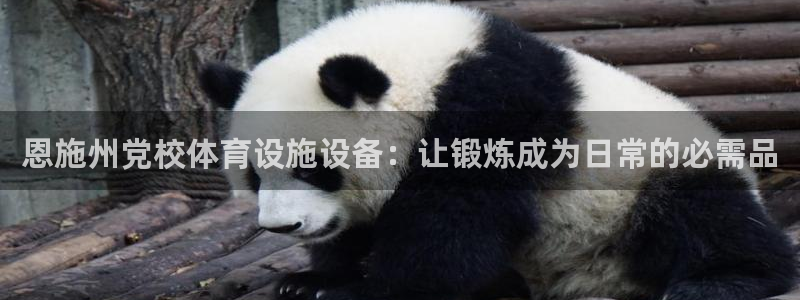 意昂体育3招商电话是多少啊：恩施州党校体育设施设备：