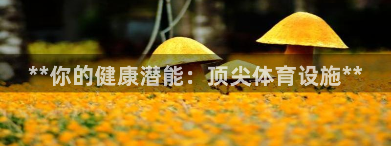 意昂3开户：**你的健康潜能：顶尖体育设施**