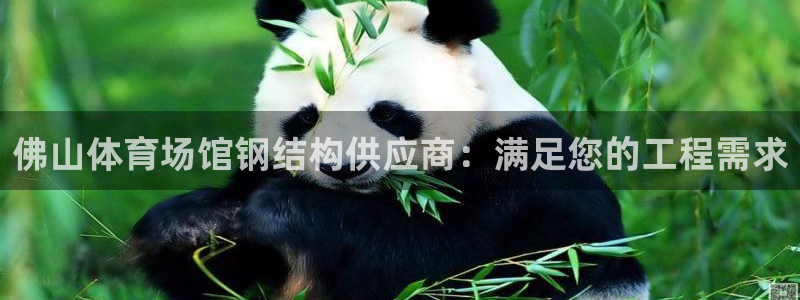 意昂体育3娱乐：佛山体育场馆钢结构供应商：满足您的工