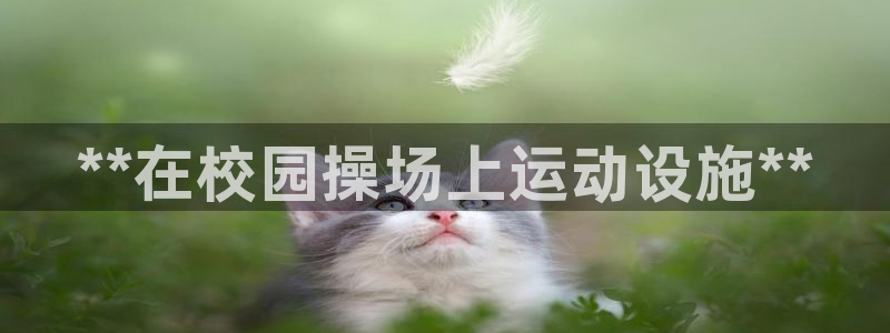 意昂3官方：**在校园操场上运动设施**