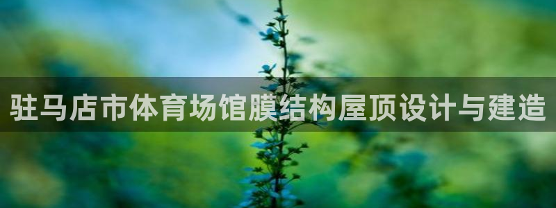 意昂3集团简介：驻马店市体育场馆膜结构屋顶设计与建造