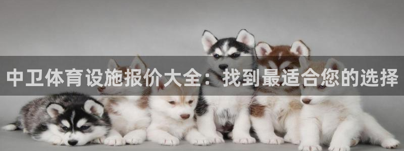 德国意昂3集团：中卫体育设施报价大全：找到最适合您的