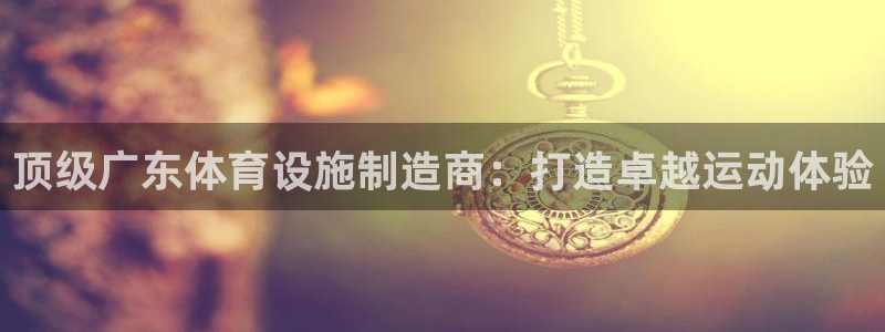 海南意昂体育3：顶级广东体育设施制造商：打造卓越运动
