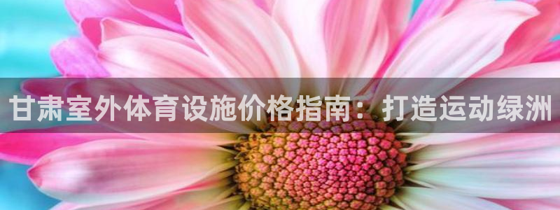 意昂体育3平台APP：甘肃室外体育设施价格指南：打造