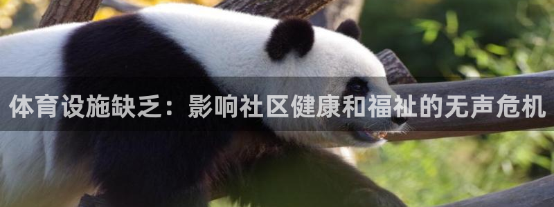 意昂体育3招商电话地址查询：体育设施缺乏：影响社区健