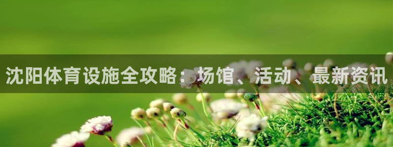 意昂体育3软件：沈阳体育设施全攻略：场馆、活动、最新