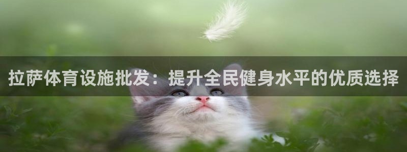意昂3集团logo：拉萨体育设施批发：提升全民健身水