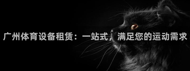 意昂体育3是干嘛的公司：广州体育设备租赁：一站式，满