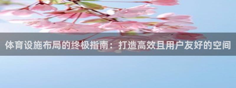 意昂体育3是干嘛的公司：体育设施布局的终极指南：打造