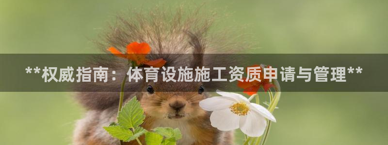 海南意昂体育3发展怎么样：**权威指南：体育设施施工