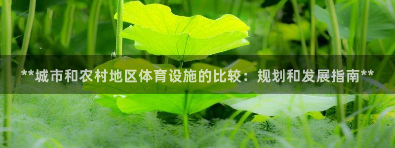 意昂3代理：**城市和农村地区体育设施的比较：规划和