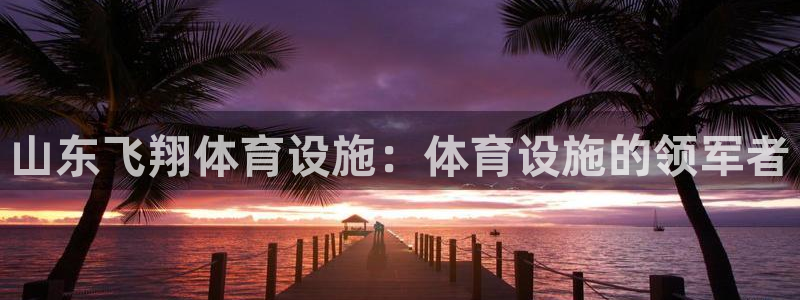 意昂3娱乐代理怎么样：山东飞翔体育设施：体育设施的领
