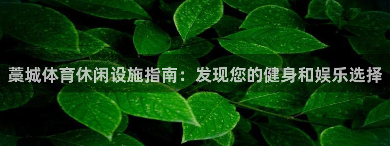 意昂3科技：藁城体育休闲设施指南：发现您的健身和娱乐