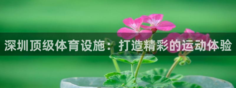 意昂体育3招商电话号码：深圳顶级体育设施：打造精彩的运动体验