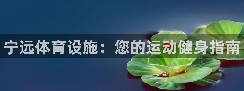 意昂3娱乐首页官网下载：宁远体育设施：您的运动健身指