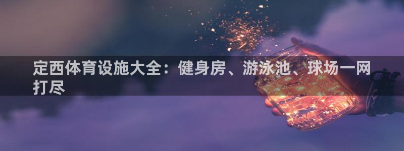 意昂3娱乐：定西体育设施大全：健身房、游泳池、球场一