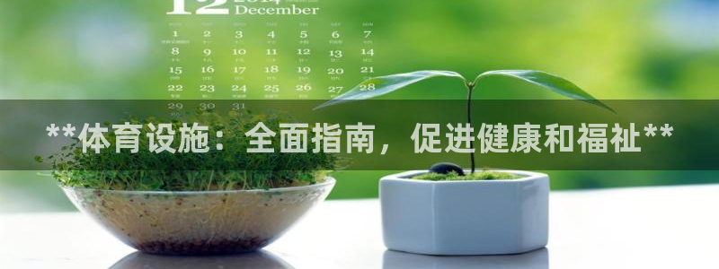 意昂3科技：**体育设施：全面指南，促进健康和福祉*