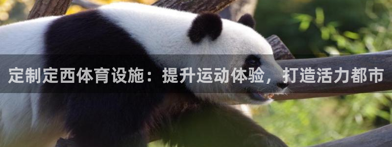 意昂体育3平台注册：定制定西体育设施：提升运动体验，
