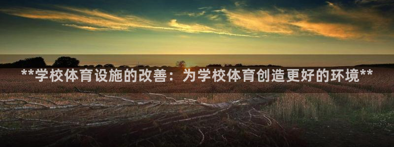 意昂3五金厂：**学校体育设施的改善：为学校体育创造